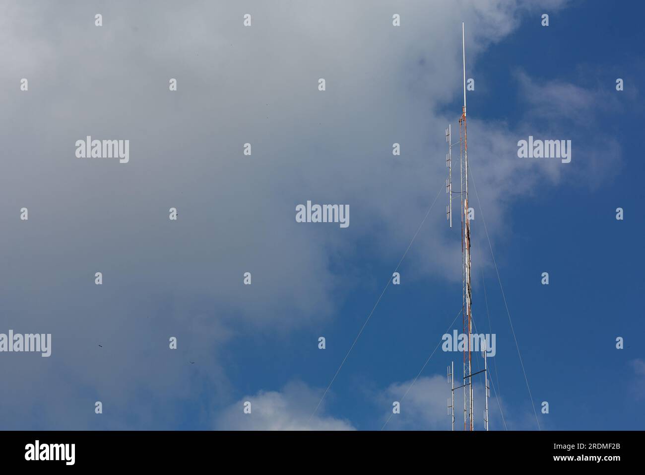 Eine rot-weiße Antenne mit hellem Himmelshintergrund und ein Vogel, der in der Nähe des Gebiets fliegt. Stockfoto