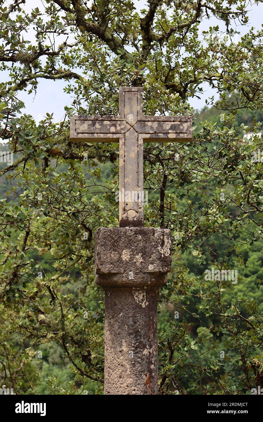 Christliche Steine kreuzen sich inmitten von Bäumen und Vegetation. Heiligtum Nossa Senhora da Piedade, Lousã, Portugal. Stockfoto