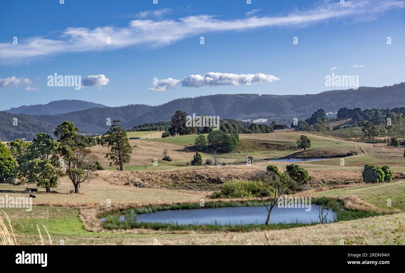 Ländliche Landschaft am Ende des Tages Sottsdale Tasmanien Australien Stockfoto