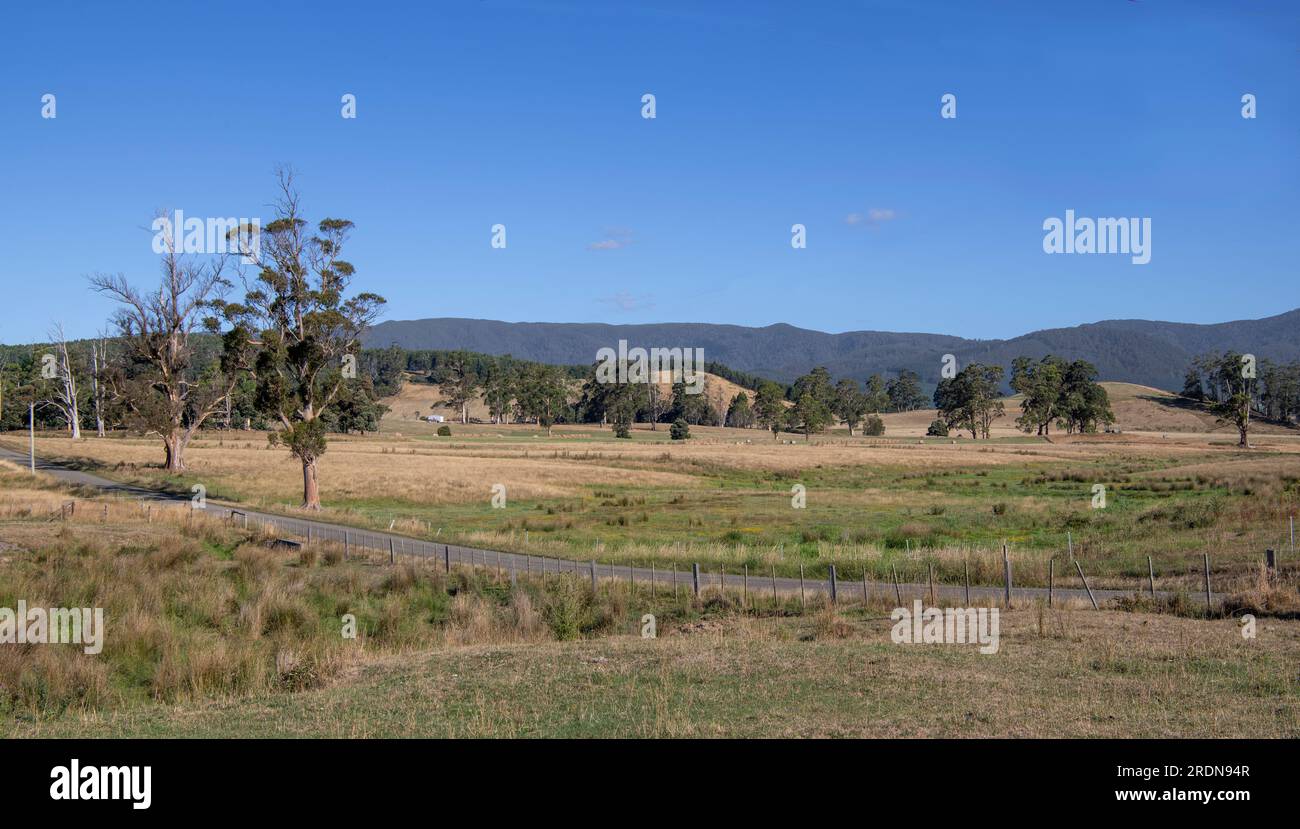 Ländliche Landschaft Scottsdale Tasmanien Australien Stockfoto