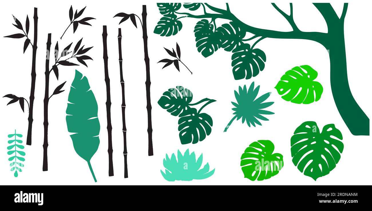 Vektorset verschiedener tropischer Pflanzen, Blätter und Blüten. Exotische Sommerelemente für Einladungen, Poster, Hintergründe Stock Vektor
