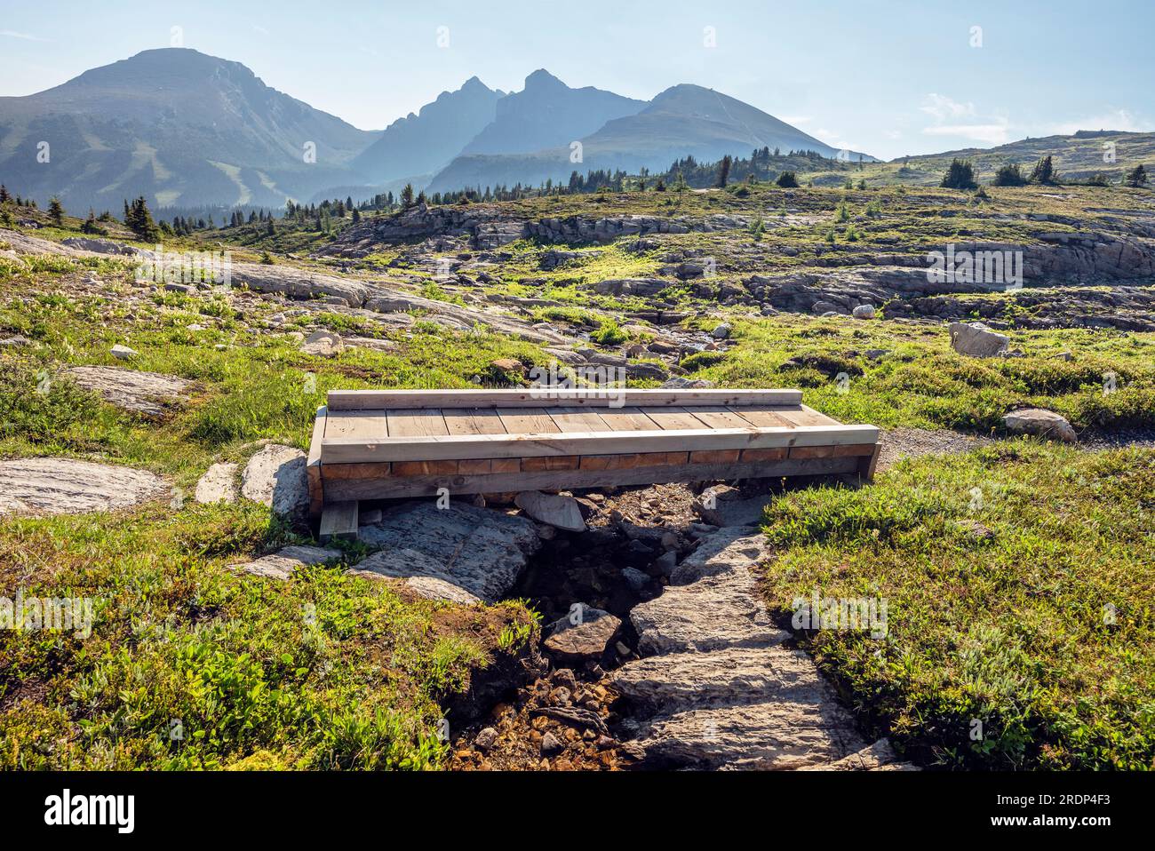 Kleine Holzbrücke über einem Bergbach in Sunshine Meadows im Banff National Park, Alberta, Kanada Stockfoto