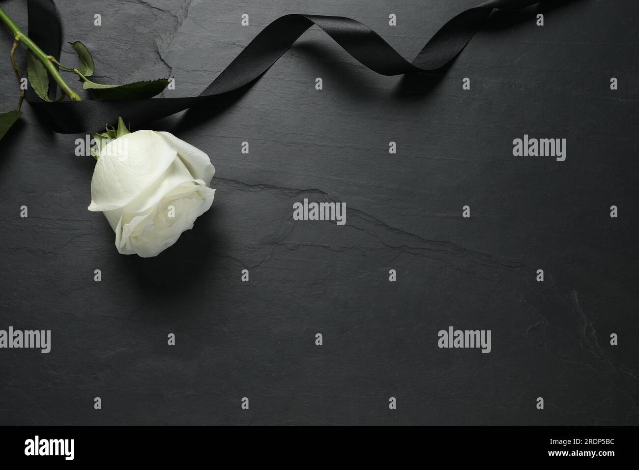 Weiße Rose und Band auf schwarzem Tisch, flach liegend mit Platz für Text. Begräbnissymbole Stockfoto