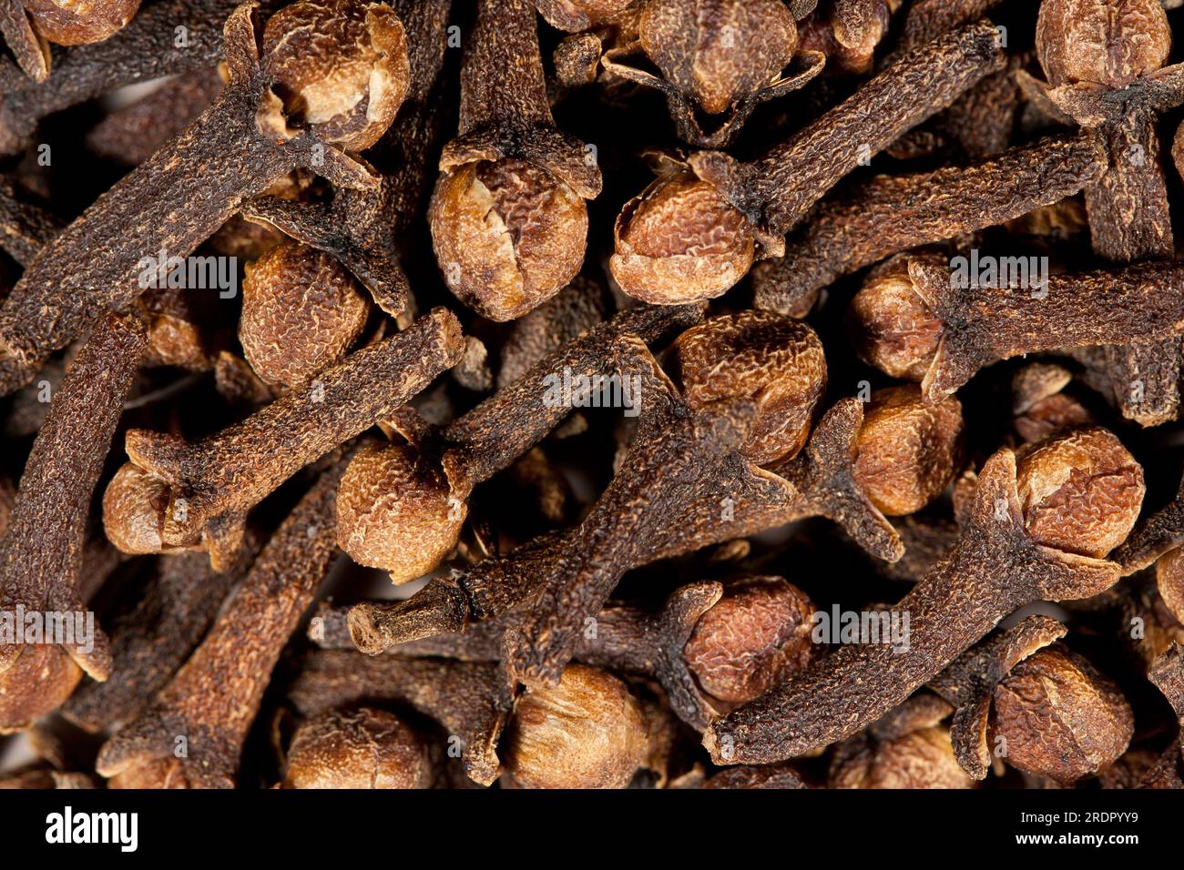 Konsistenz der Gewürznelken, die von oben gefangen wurden. Makrofotografie Stockfoto
