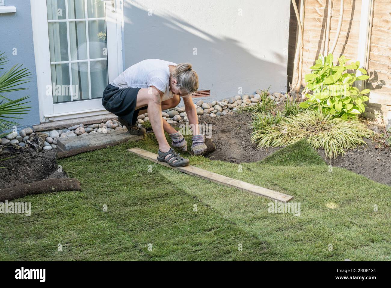 Eine Frau arbeitet in einem kleinen Garten und legt Rollen von neuem Rasen auf vorbereitetem Boden Stockfoto