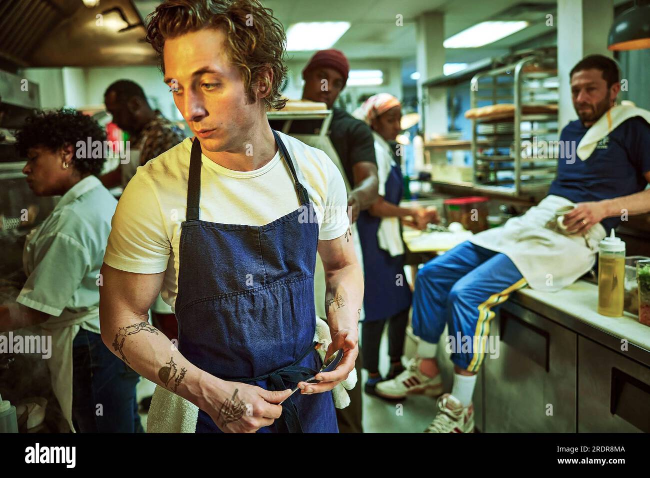 Der Bär Jeremy Allen White Stockfoto