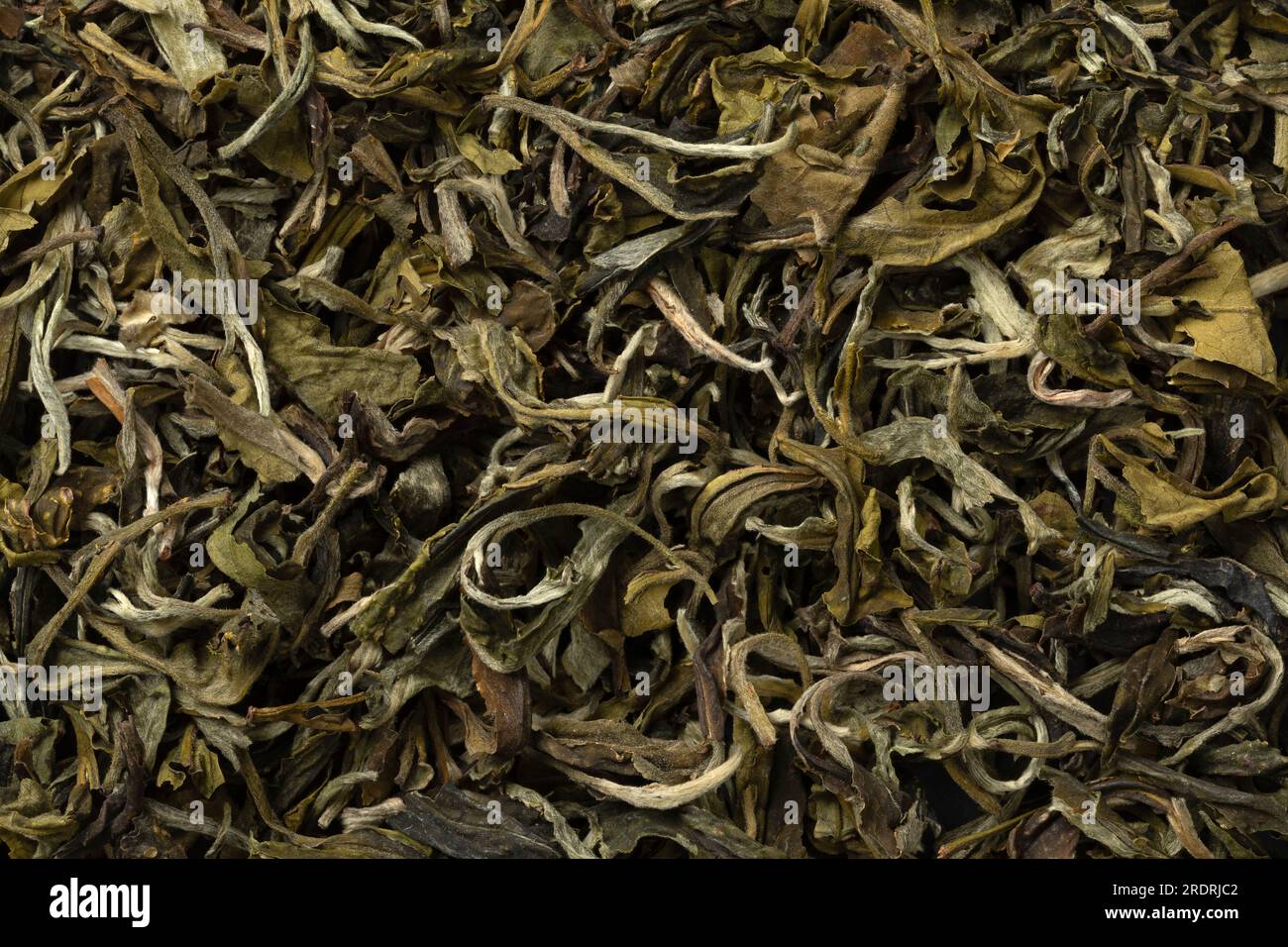 Getrocknete chinesische Schnee Knospen Teeblätter Nahaufnahme Vollformat als Hintergrund Stockfoto