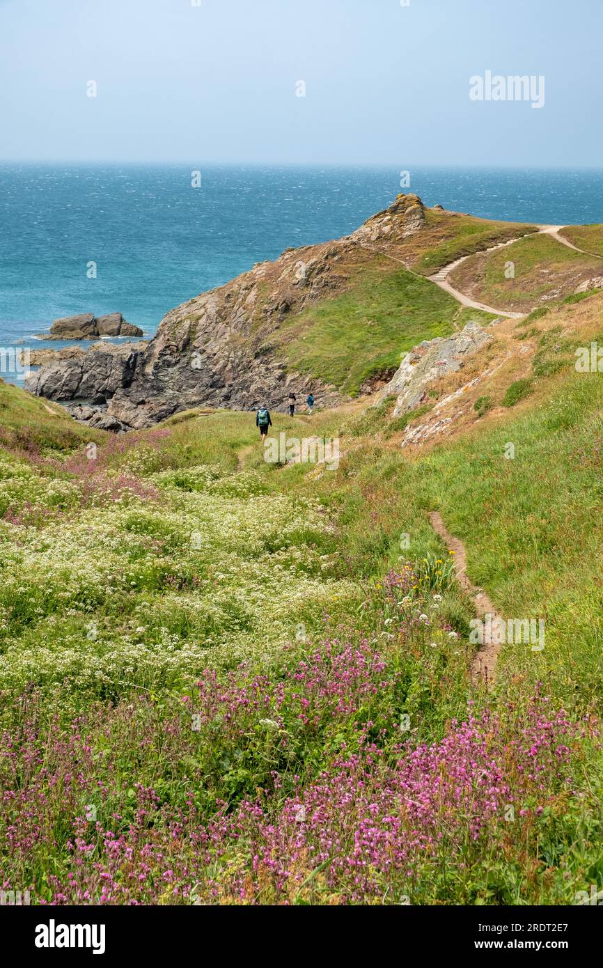 Südwestküste Pfad, Helston, Großbritannien Stockfoto