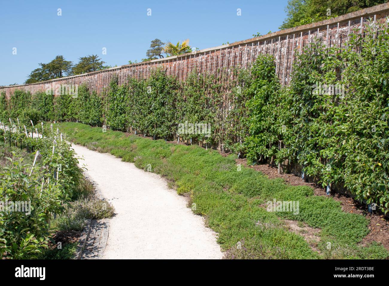 Parabola Obstgarten, der Newt Somerset Stockfoto