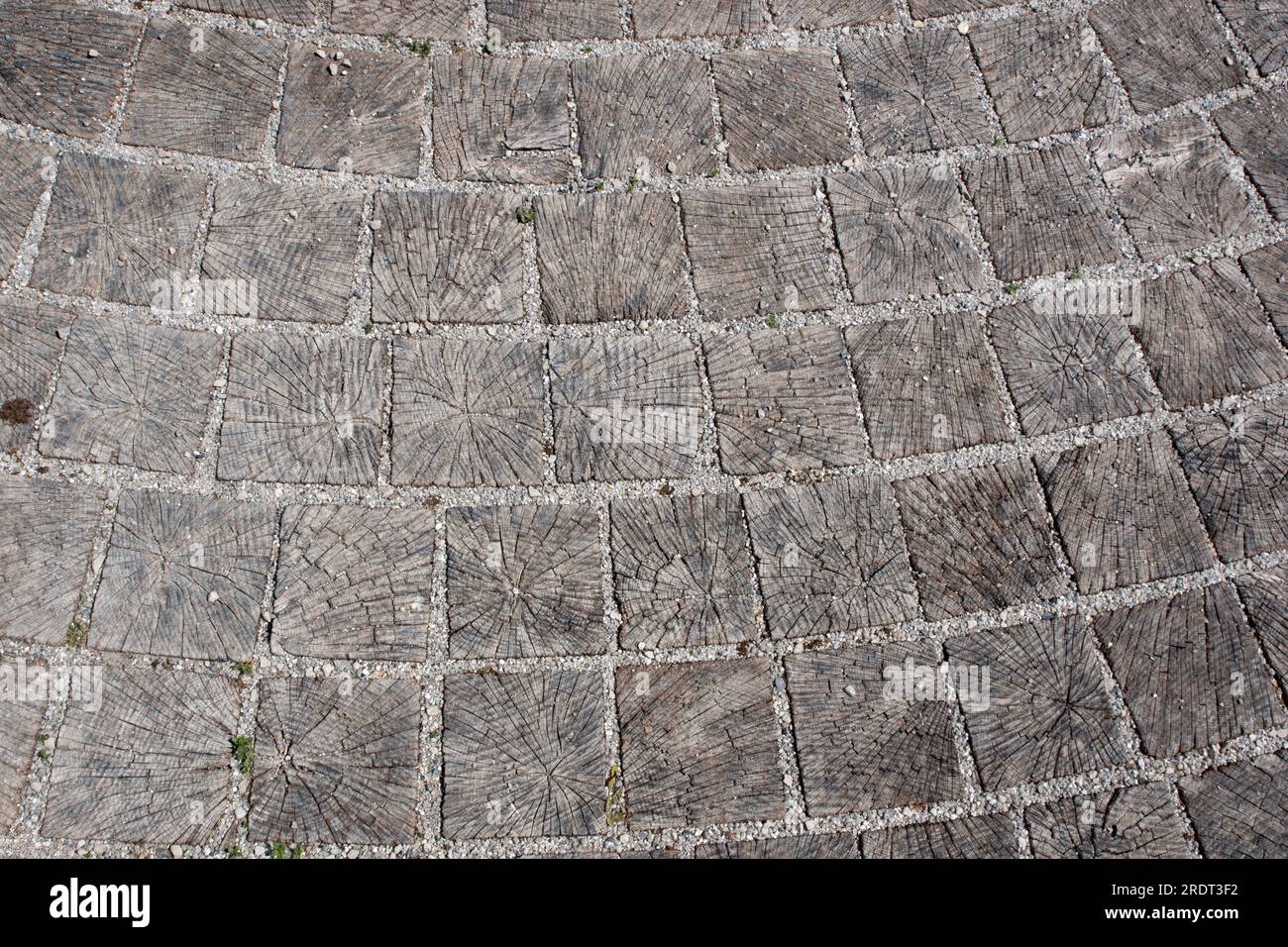 Hartholzsets für Parbola im Newt Somerset Stockfoto