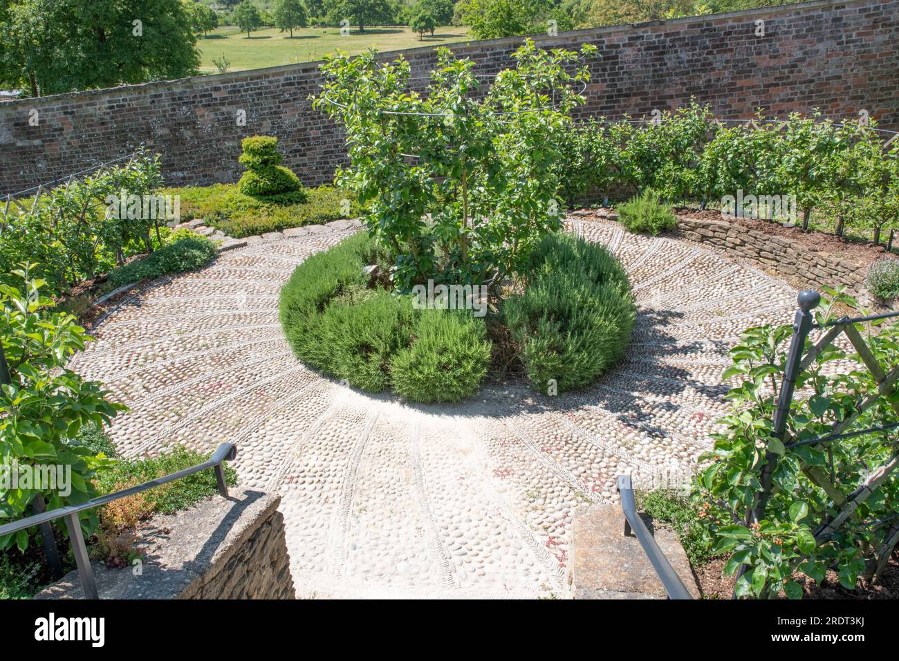 Parabolobstgarten im Newt Somerset Stockfoto