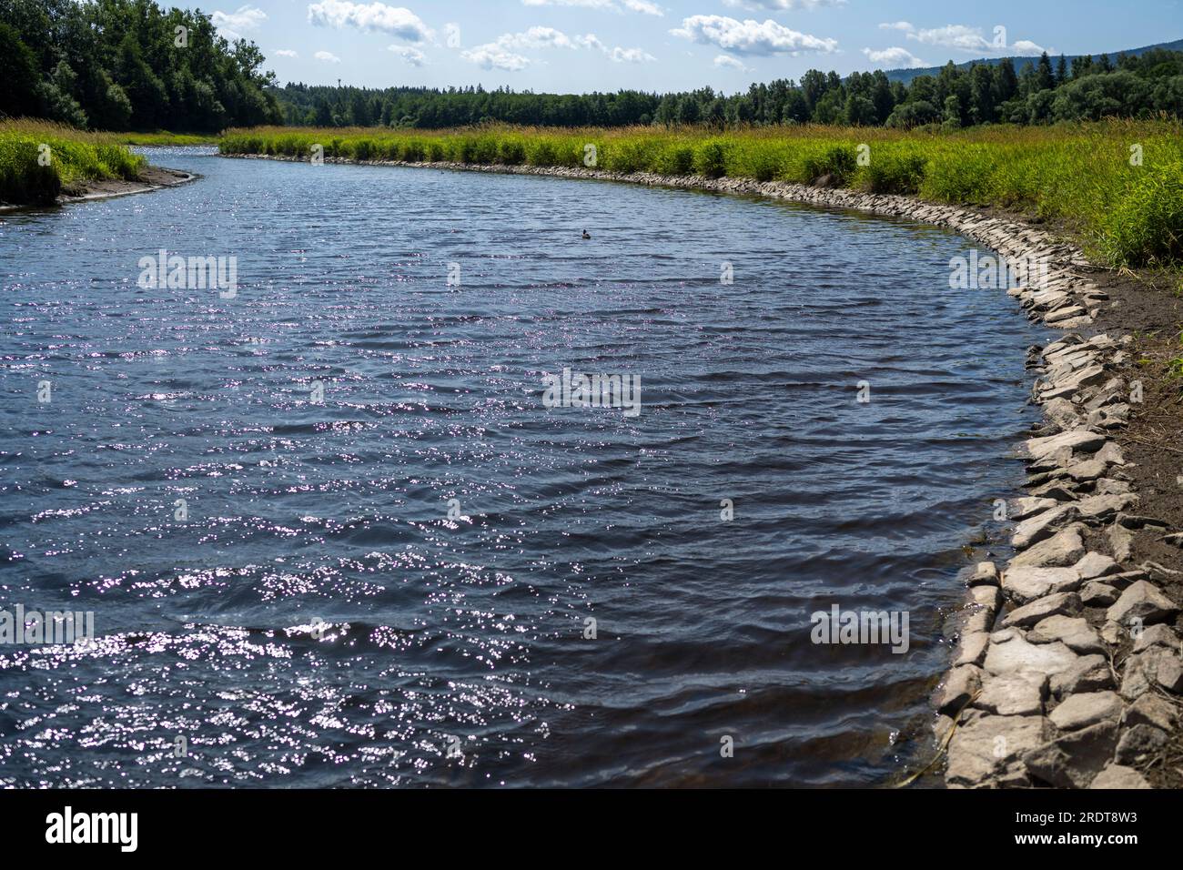 Trockene Flecken im Flussbett der Moldau bei Nova Pec, wo der Fluss in den Lipno-Damm fließt, Tschechische Republik, 23. Juli 2023. Es gibt ein Rafting-Verbot auf der Tepla Moldau aufgrund von Wassermangel und Paddler stoppen Rafting hier. (CTK Foto/Vaklav Pancer) Stockfoto