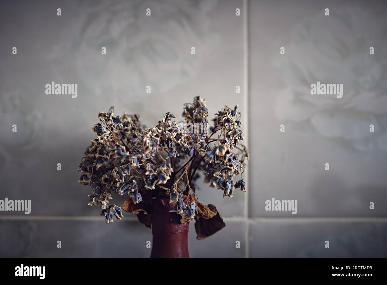 Trockene blaue und weiße violette Blumen in Steinwarenvase Stockfoto