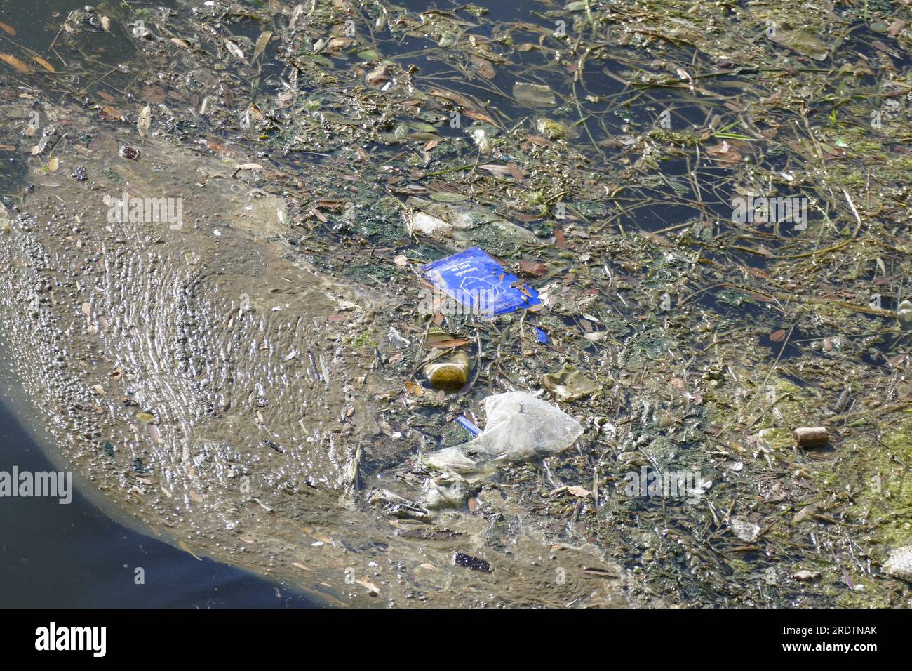 Müll im Fluss arno in firence / toskana / italien Stockfoto