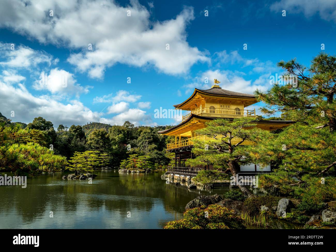 Kinkaju-ji-Schrein im Herbst, Kyoto, Japan Stockfoto