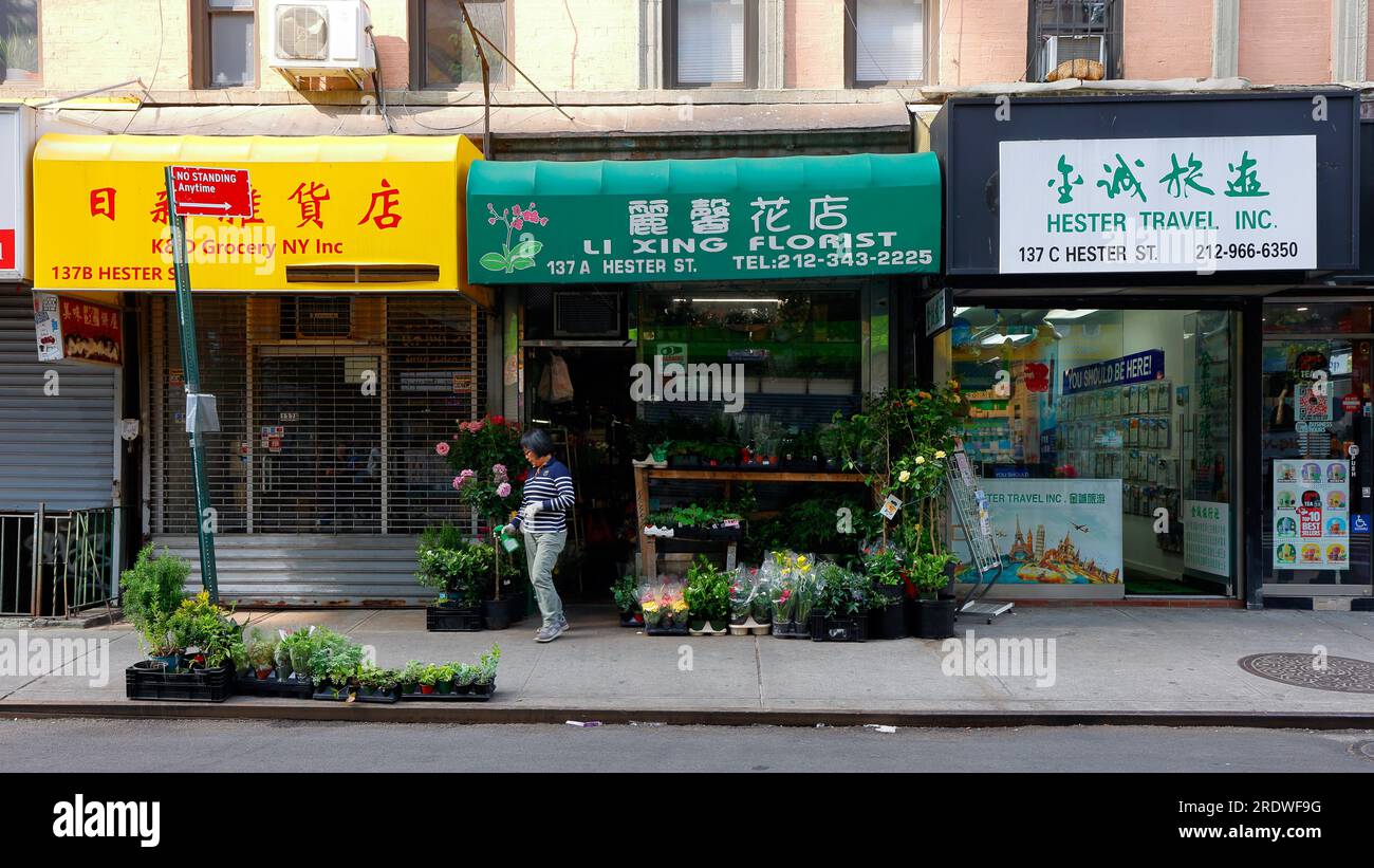 Li Xin Florist 麗馨花店, 137 Hester St, New York, NYC, Foto eines Blumengeschäfts und anderer kleiner Unternehmen in Manhattan Chinatown. 紐約 Stockfoto