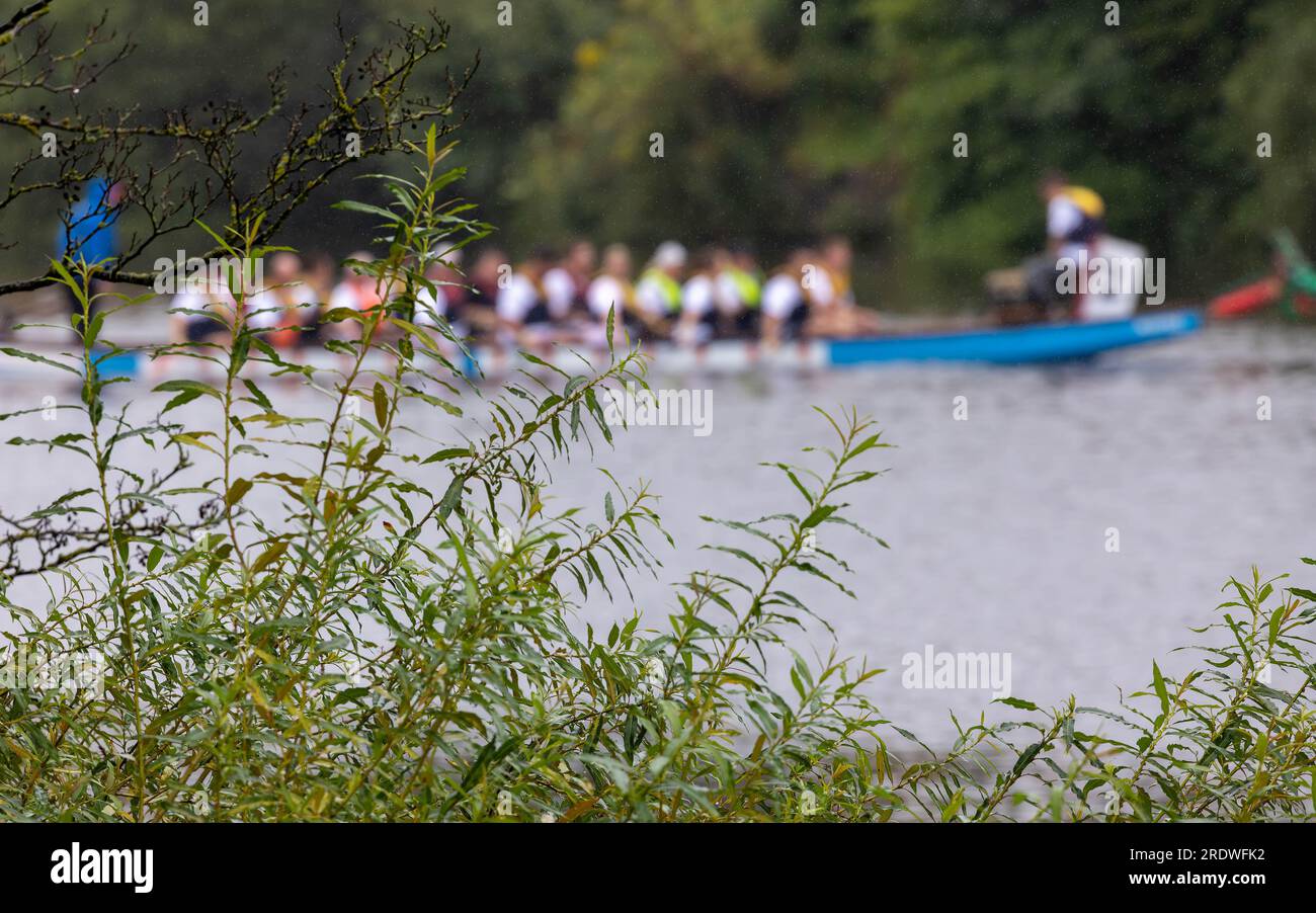 23. Juli 2023 - River Mersey, Warrington, Cheshire, England - ein organisiertes Drachenbootfestival am Baum und am Busch des River Mersey in Warrington. Die Boote mussten vor dem Start umdrehen. Im Ruderclub und trotz des durchgehend regnerischen Tages wetteiferten sich einige Drachenboote um einen Gewinner. Ziel der Veranstaltung war es, Gelder für das St. Rocco's Hospice zu sammeln, das es ist, eine hochwertige Versorgung und Unterstützung für Menschen und ihre Angehörigen mit lebenslimitierenden Krankheiten, die in der Region Warrington leben, zu bieten, damit jede Person Komfort, Hoffnung, Kraft und Frieden finden kann. Stockfoto