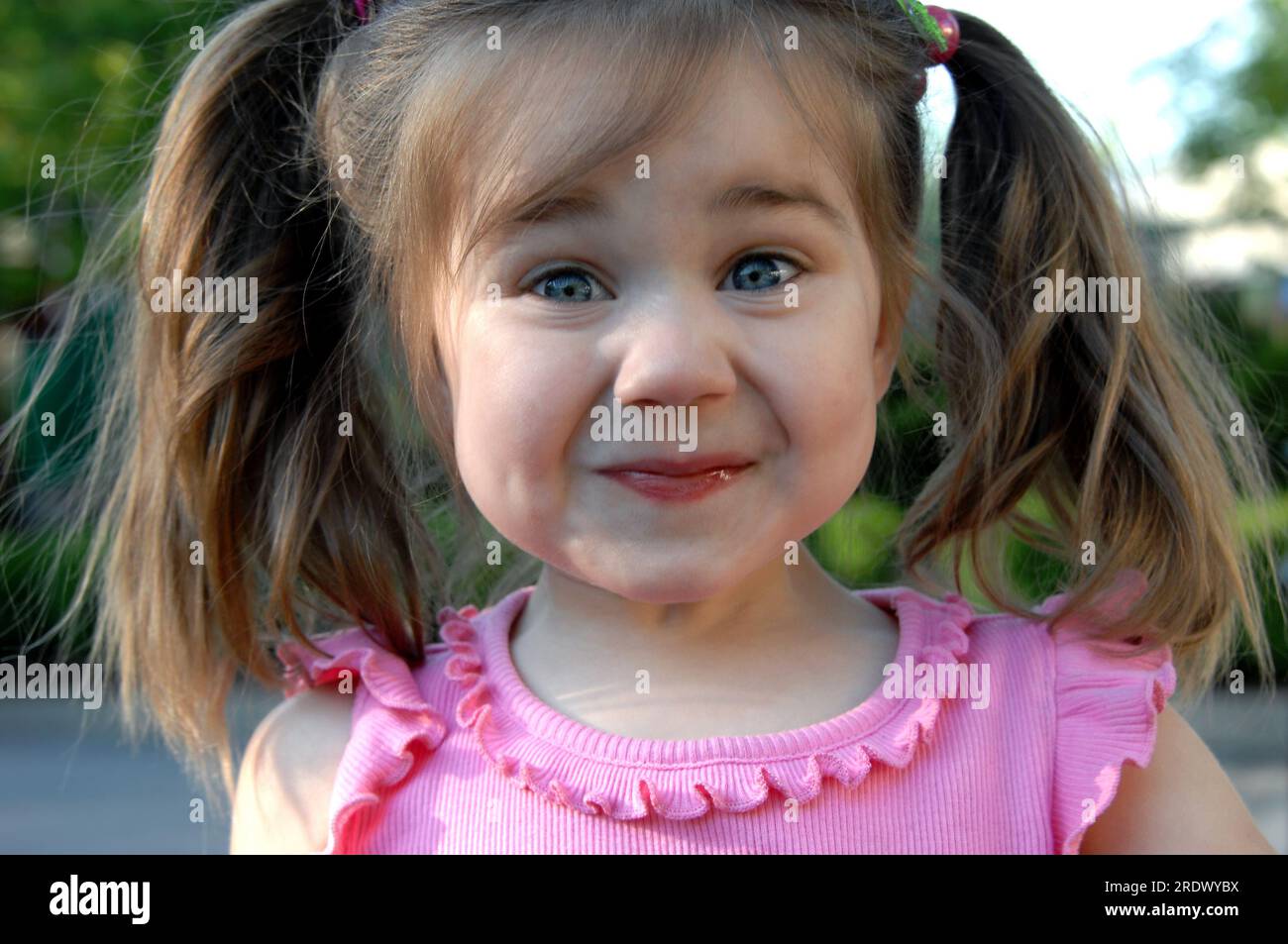 Das kleine Mädchen versucht, ihr Kichern zu halten, während sie ihr Gesicht in ein fröhliches Grinsen versetzt. Sie hat Zöpfe und ein rosa Hemd. Stockfoto