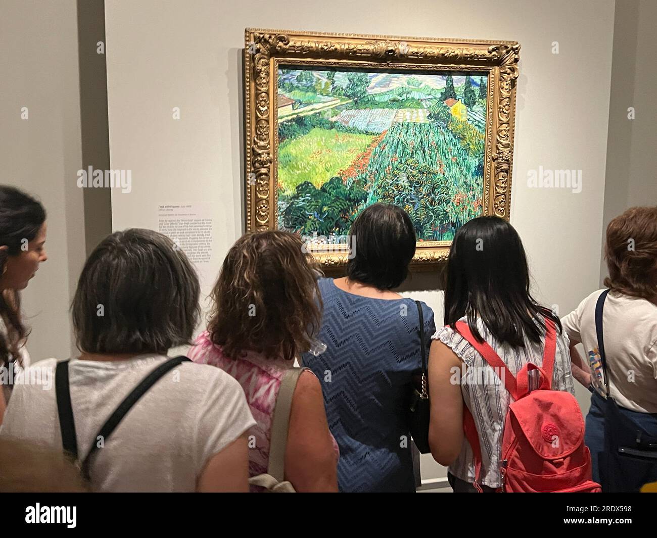 Die Ausstellung „Van Goghs Zypressen“ im Metropolitan Museum of Art ist die erste Ausstellung, die sich auf die Bäume konzentriert - eine der berühmtesten in der Kunstgeschichte. „Französische Landschaft in Arles“ Stockfoto