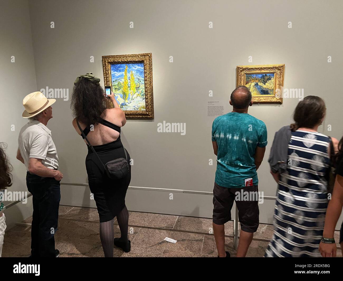Die Ausstellung „Van Goghs Zypressen“ im Metropolitan Museum of Art ist die erste Ausstellung, die sich auf die Bäume konzentriert - eine der berühmtesten in der Kunstgeschichte. Die Galerie ist den ganzen Tag lang voller Menschenmassen. Stockfoto