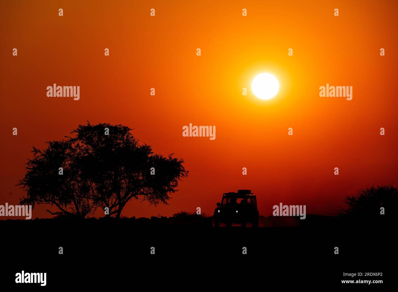 Safari-Auto bei Sonnenaufgang, Wasserloch Klein Namutoni, Etosha-Nationalpark, Namibia Stockfoto