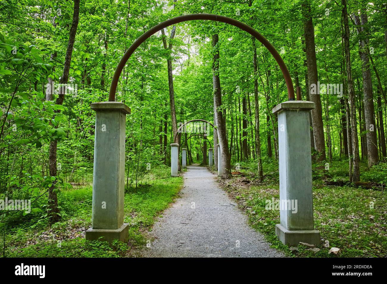 Rosengang, Rose Island Park, Wald, Wald, Steinbögen, Torbogen, Pfad endet im Wald Stockfoto