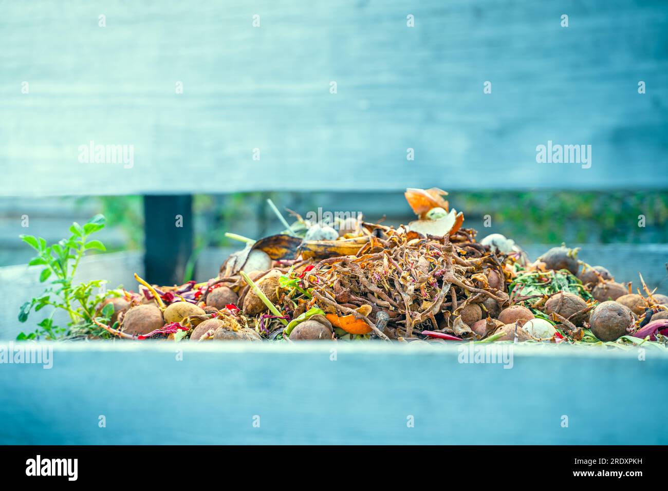 Komposthaufen mit organischem Abfall. Kompostierung und Recycling organischer Stoffe im Gartenbau Stockfoto