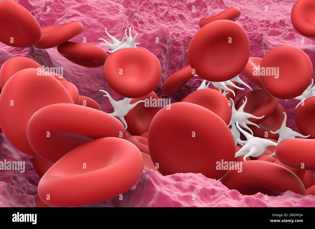 Erythrozyten und Thrombozyten in der heilenden Wunde - Nahaufnahme 3D-Abbildung Stockfoto