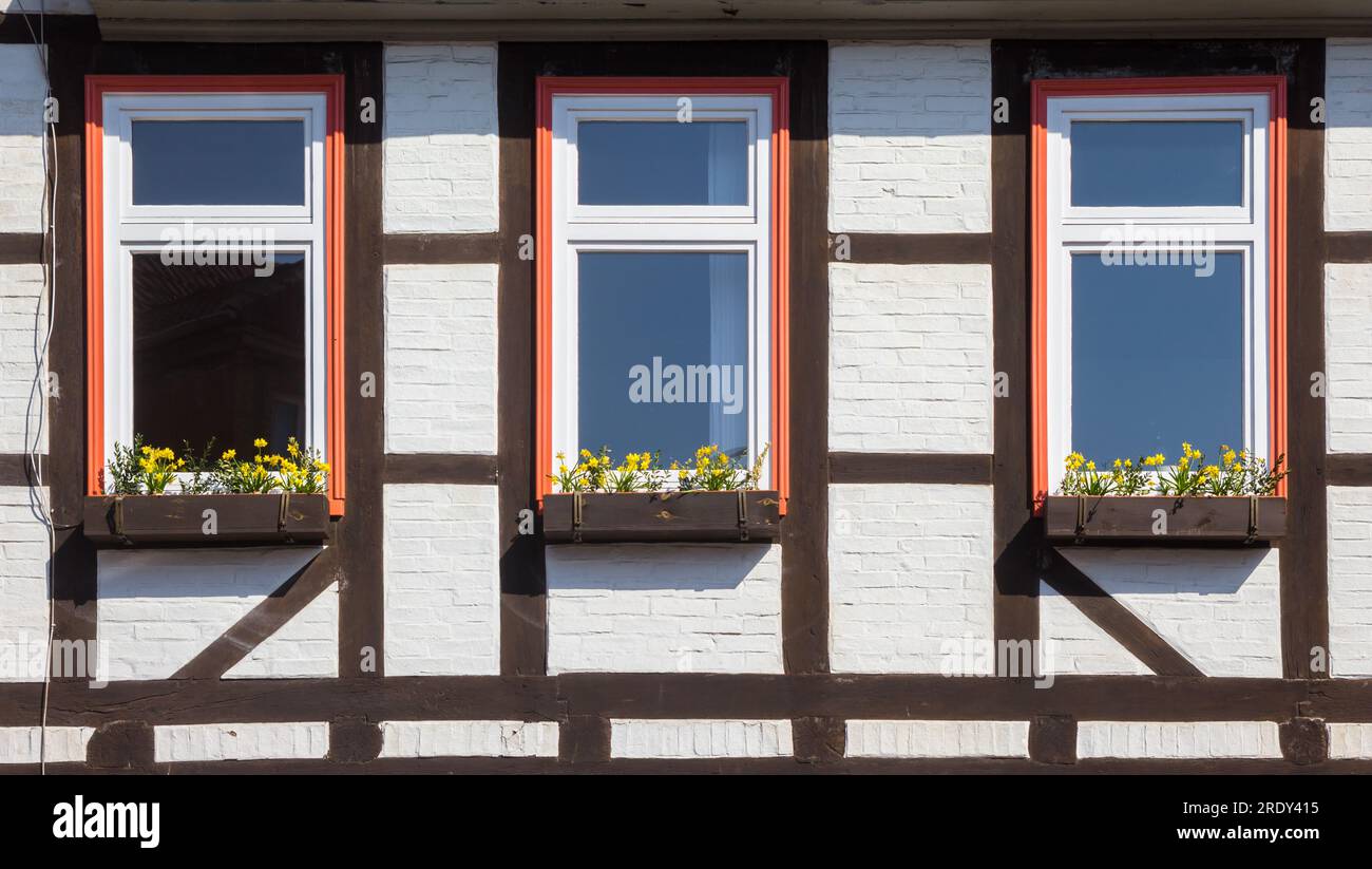 Blumen an der Fassade eines Fachwerkhauses in Helmstedt Stockfoto