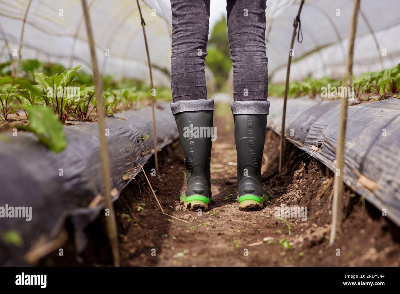 Ein junger Bauer, der Gummistiefel trägt, steht auf dem Bauernhof Stockfoto