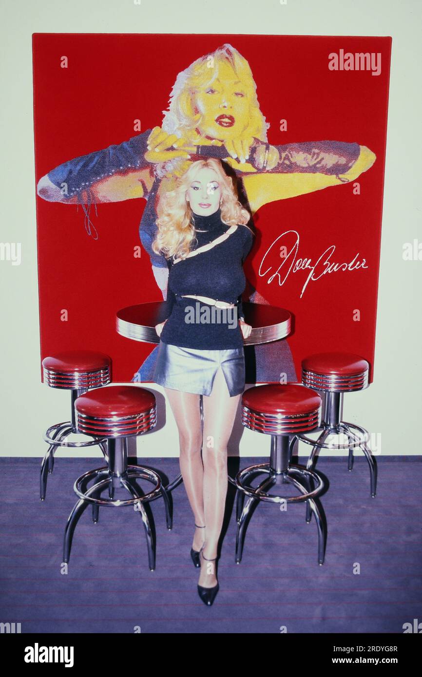 Dolly Buster, tschechische deutsche Schauspielerin Autorin und Unternehmerin, bei einer fotografischen Homestory vor einem Gemälde, Deutschland 1998. Stockfoto