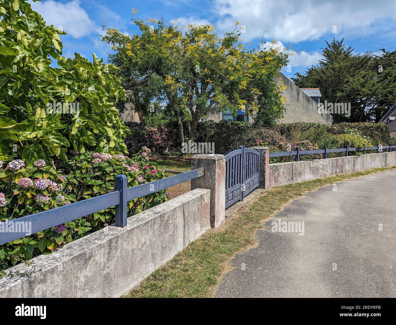 C) Denis TRASFI / MAXPPP - France, Bretagne, Morbihan, île d'Arz (à proximité de l'Île-aux-Moines) le 22 juillet 2023 - Jardin fleuri de l'île avec d Stockfoto