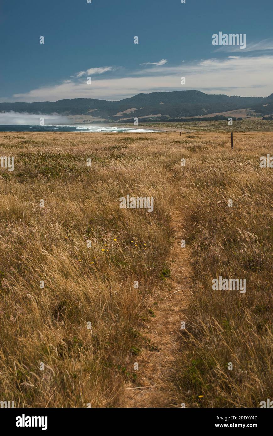 Ein Pfad schlängelt sich durch ein grasbewachsenes Feld in Richtung eines leeren Strandes Stockfoto