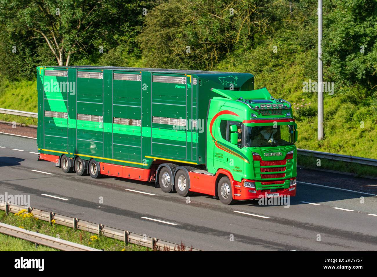 Paul Kidd Farm Animal Transport Plowman Trailer; Scania R 520 Tractor Unit fährt auf der Autobahn M6 im Großraum Manchester, Großbritannien Stockfoto