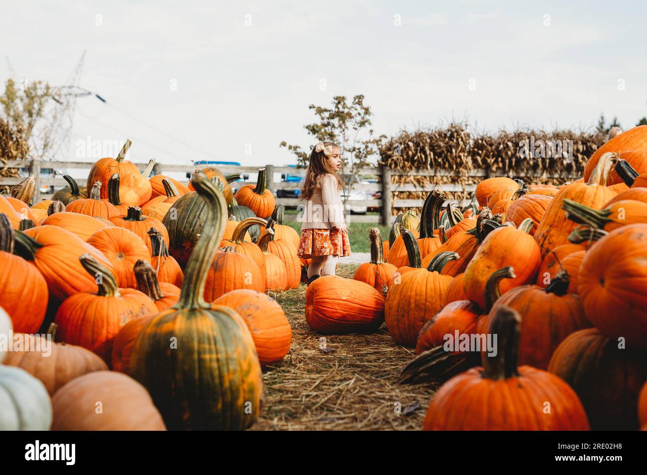 Kürbisfarm mit Mädchen Stockfoto