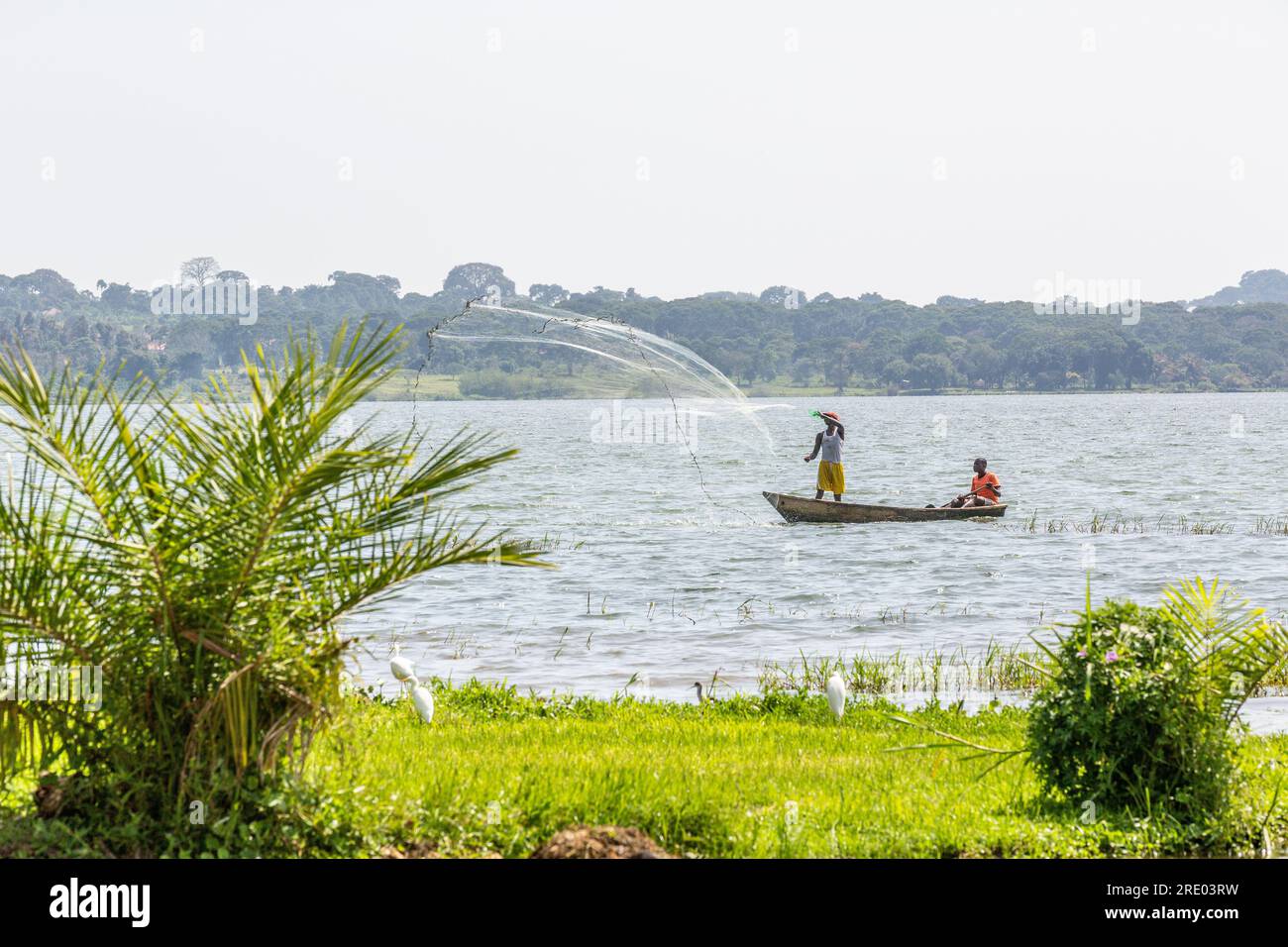 Netzwerfen von Fischern auf ihr Fischerboot auf dem Victoria-See. Sienna Beach, Entebbe. Stockfoto