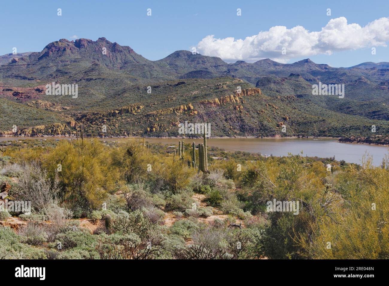 Yello Rocks am Ufer des Bartlett Lake Reservoir, USA, Arizona, Bartlett Reservoir, Scottsdale Stockfoto