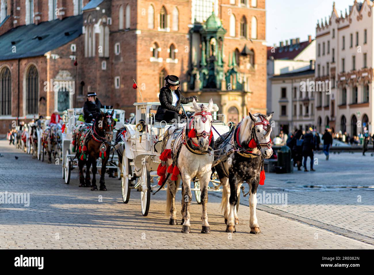 Pferde mit einem Schlitten auf dem Marktplatz von Krakau in Polen Stockfoto