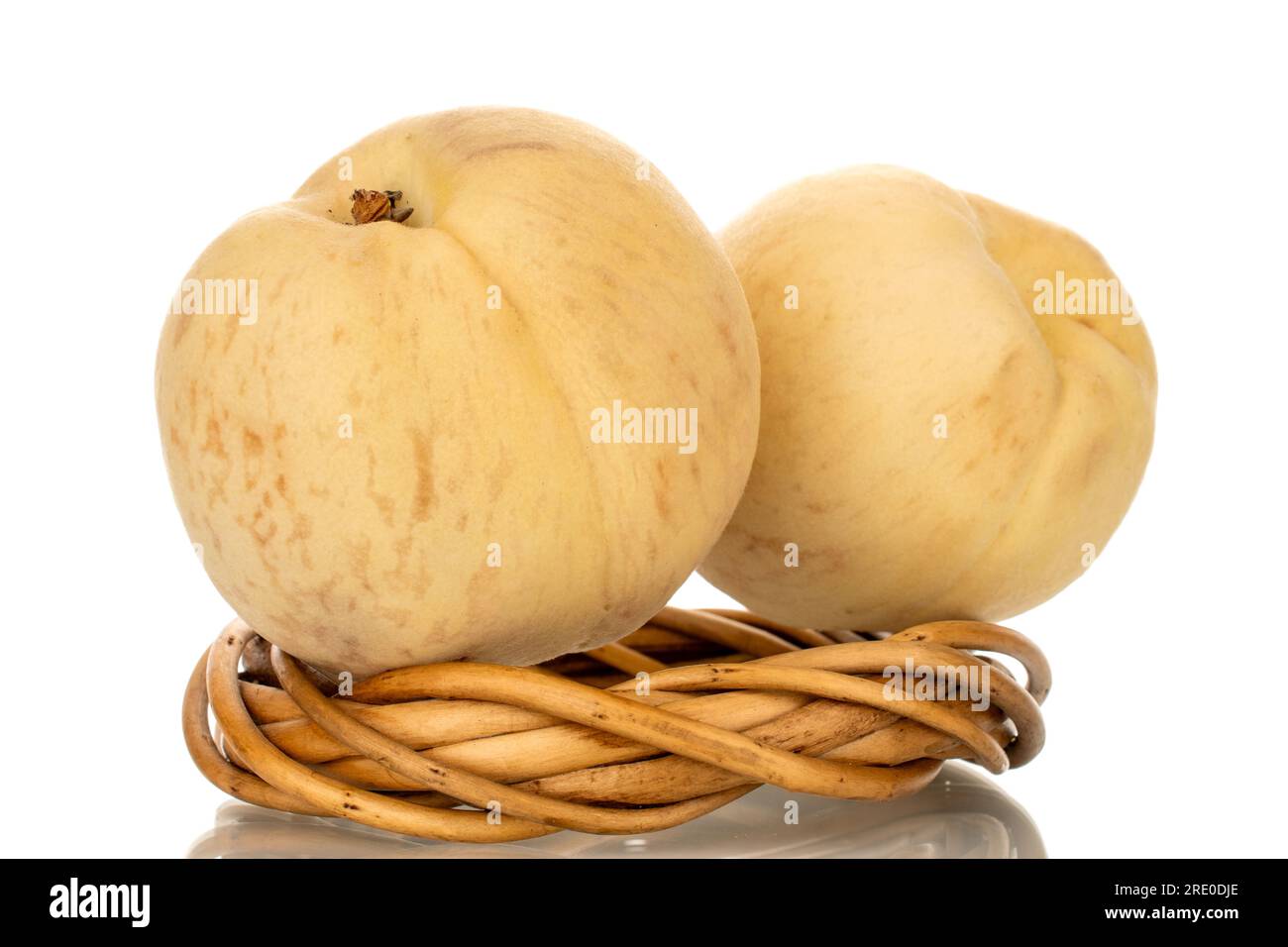 Zwei organische reife Pfirsiche mit Weinkranz, Makro, isoliert auf weißem Hintergrund. Stockfoto