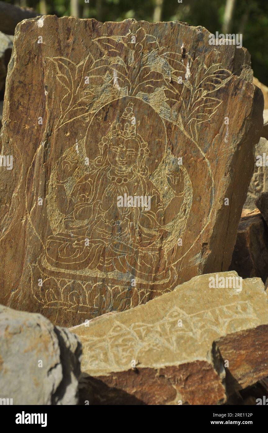 Heilige buddhistische geschnitzte Steine in Ladakh Stockfoto