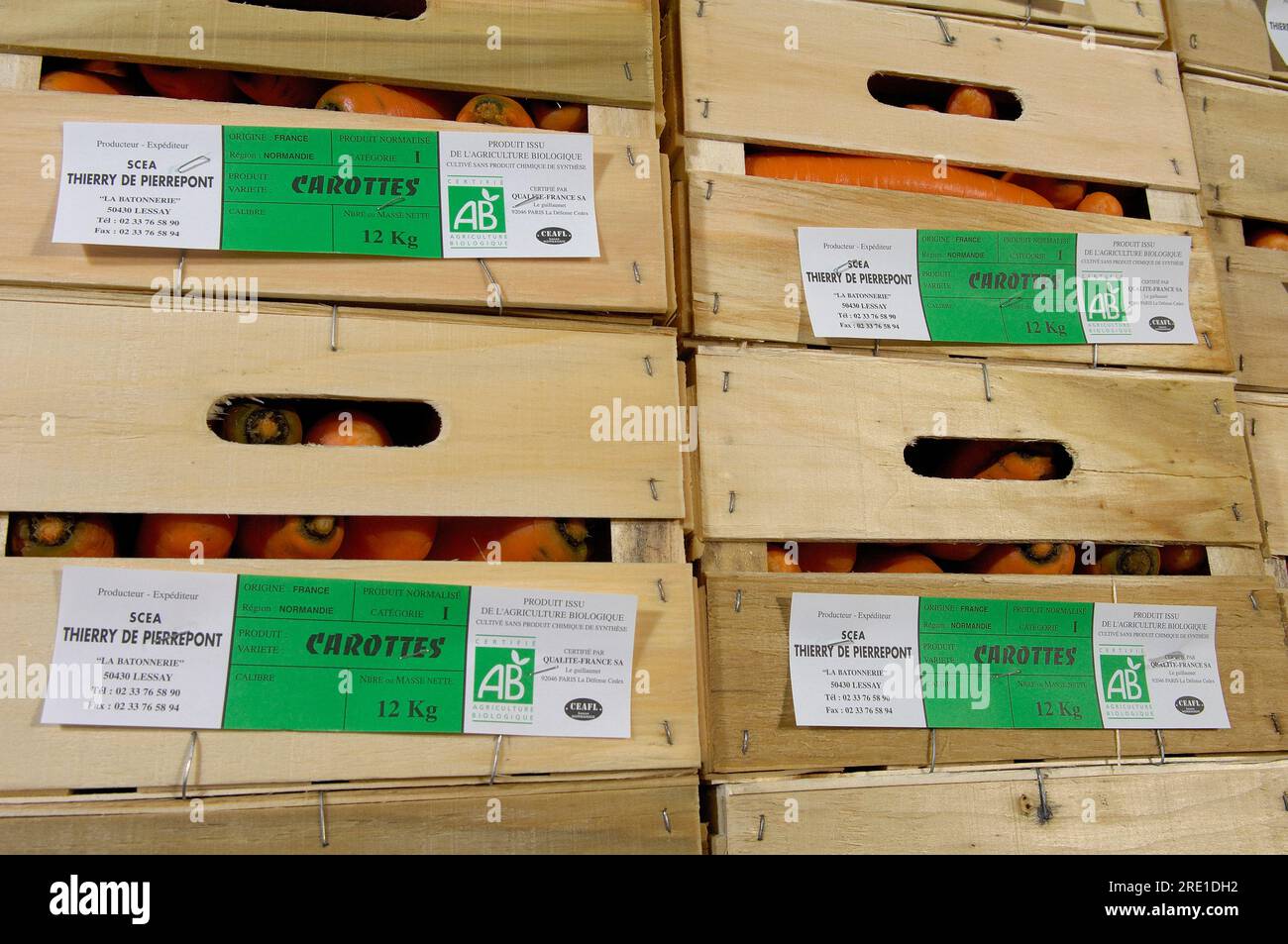 Ökologischer LKW-Landbau: Etikettierung von Kisten mit Bio-Karotten mit ab-Zertifizierung, Etikett Stockfoto
