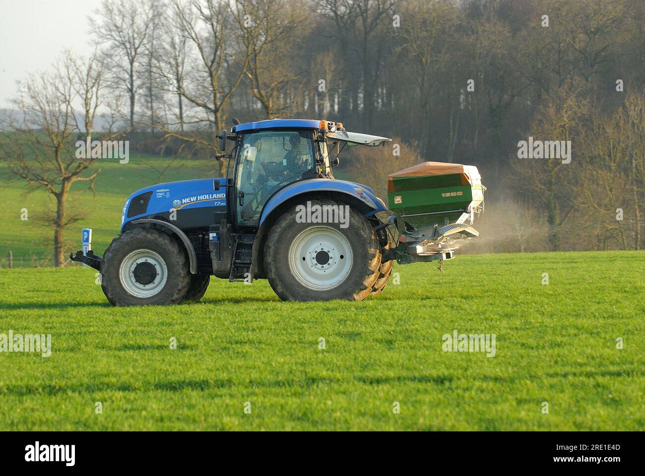 Düngemittel auf Weizenfeldern verteilen: Stickstoffdüngung, Stickstoffversorgung für Feldfrüchte Stockfoto
