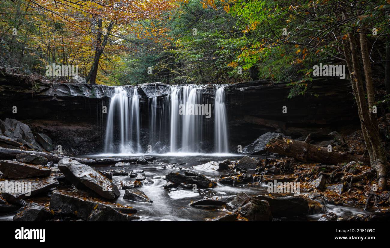 Oneida Falls im Rickets Glen State Park, Pennsylvania Stockfoto