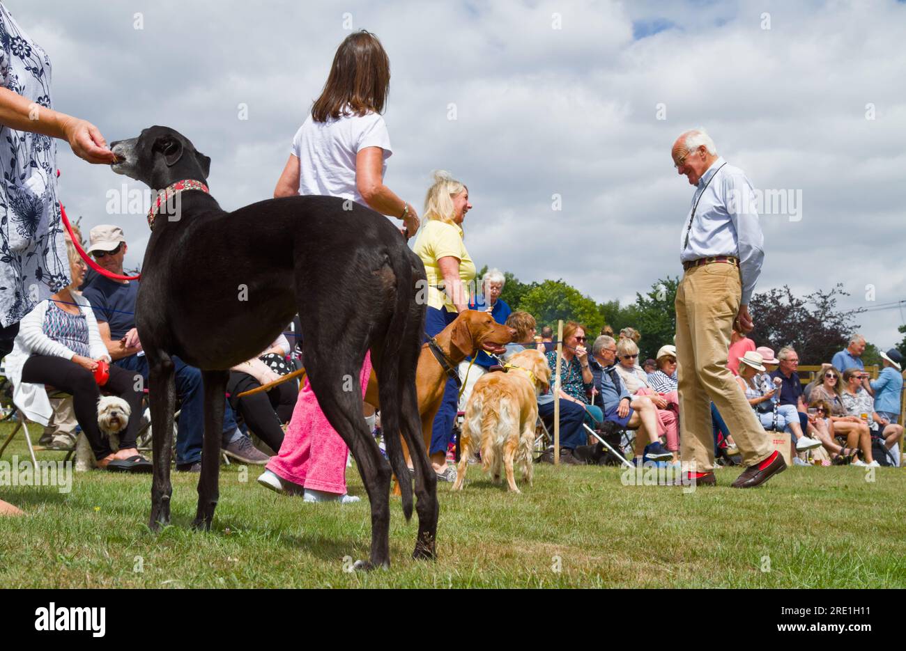 Ein männlicher Richter, der während Einer Hundeshow auf Einer Dorffestmesse, England, mit einem Besitzer spricht Stockfoto