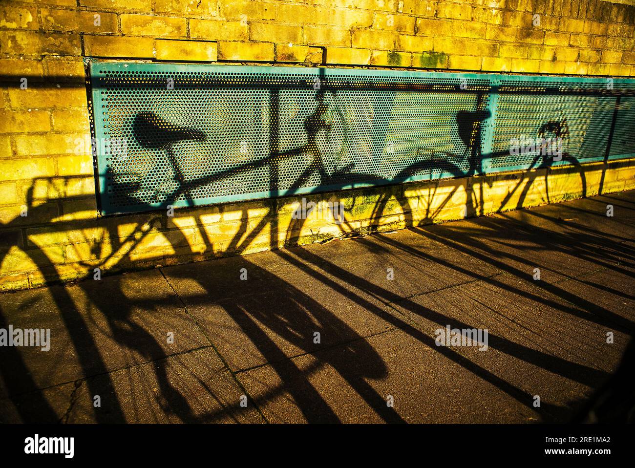 Schatten von Fahrrädern auf goldener, sonnendurchfluteter Wand Stockfoto