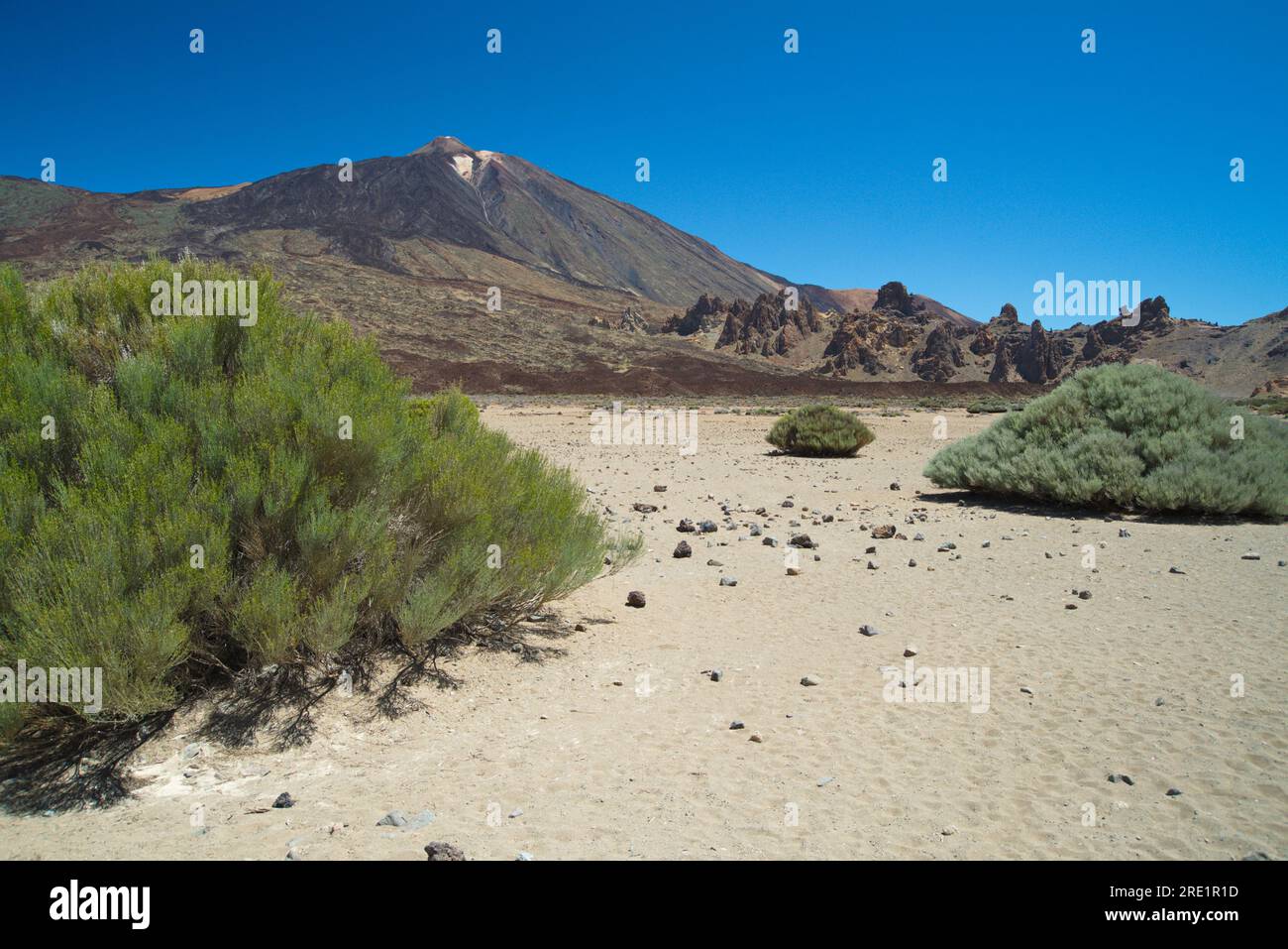 Paisaje Lunar típico de Las Cañadas del Teide. Typische Mondlandschaft von Las Cañadas del Teide. Stockfoto