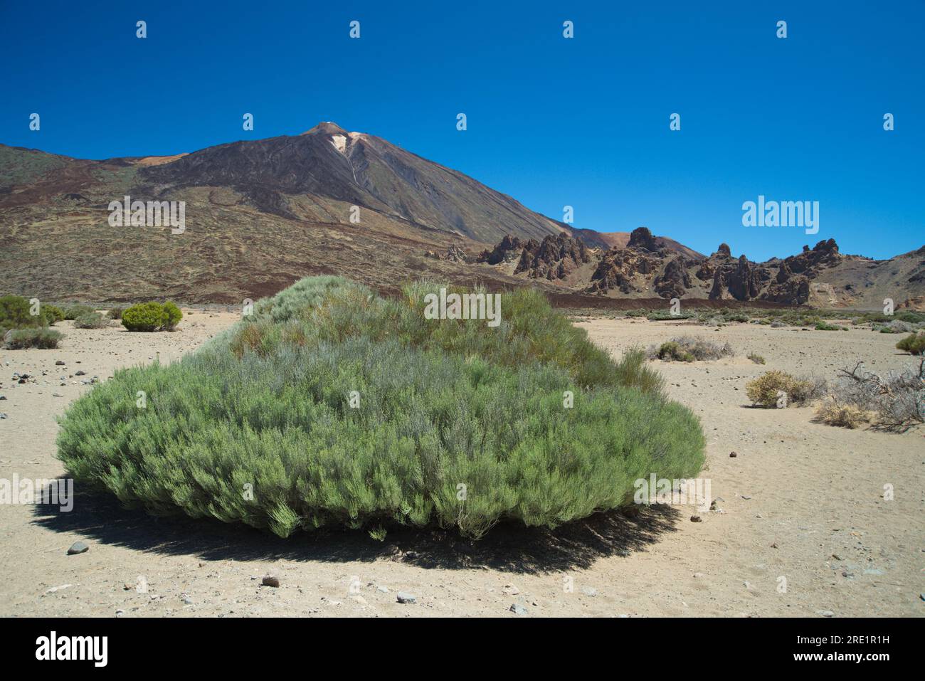 Paisaje Lunar típico de Las Cañadas del Teide. Typische Mondlandschaft von Las Cañadas del Teide. Stockfoto