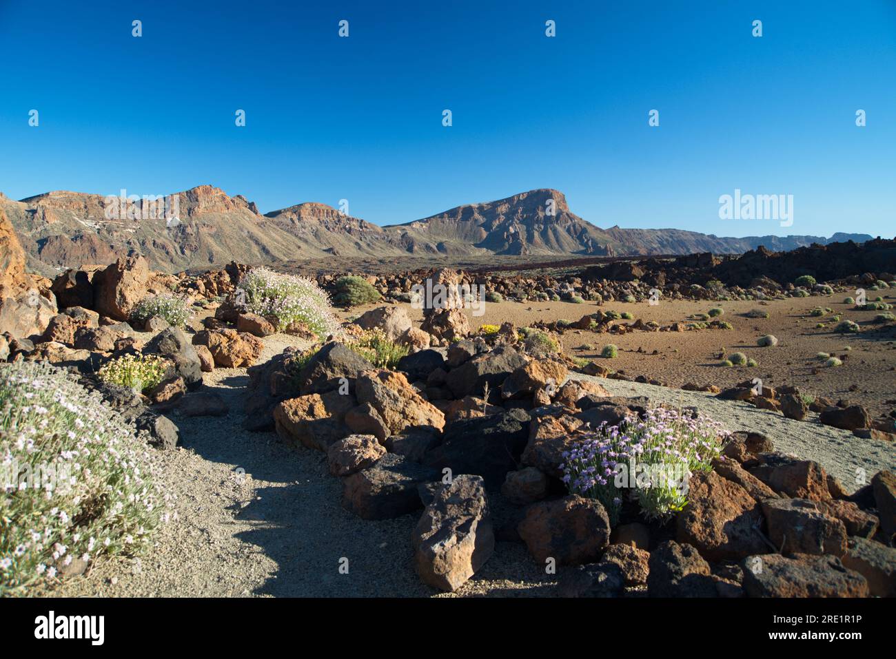 Paisaje Lunar típico de Las Cañadas del Teide, typische Mondlandschaft von Las Cañadas del Teide, Stockfoto