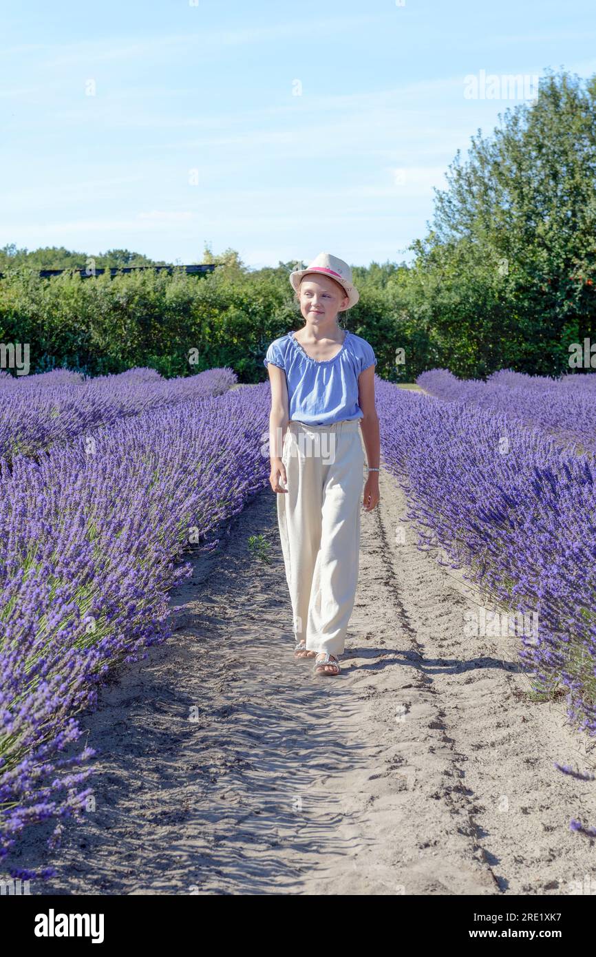 Ein Teenager läuft durch ein blühendes Lavendelfeld. Blühender Lavendel an einem sonnigen Sommertag. Lavendel-Blütenzeit Stockfoto