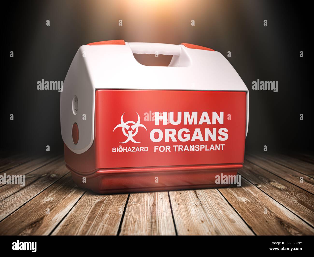 Menschliches Organ für Transplantations-Kühlbox. 3D Abbildung Stockfoto